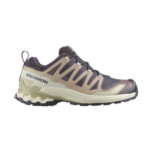 Salomon XA Pro 3D V9 GTX Women