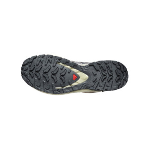 Salomon XA Pro 3D V9 GTX Women