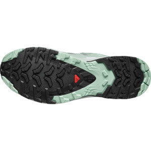 Salomon XA Pro 3D V9 GTX Women