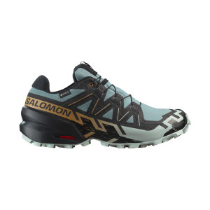 Salomon Speedcross 6 GTX