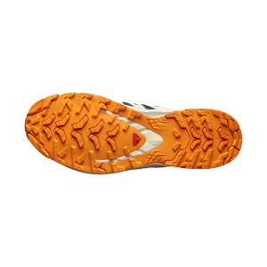 Salomon XA Pro 3D V9 GTX
