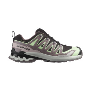 Salomon XA Pro 3D V9 GTX Women