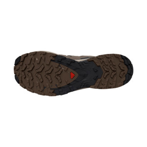 Salomon XA Pro 3D V9