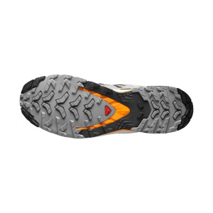 Salomon XA Pro 3D V9