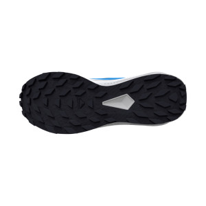 Salomon Alphaglide GTX
