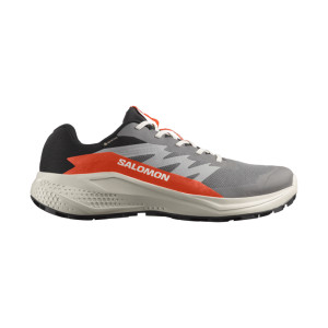 Salomon Alphaglide GTX