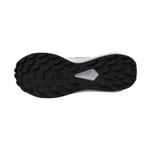 Salomon Alphaglide GTX