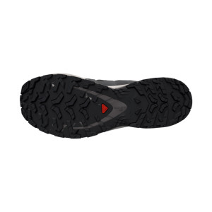 Salomon XA Pro 3D V9
