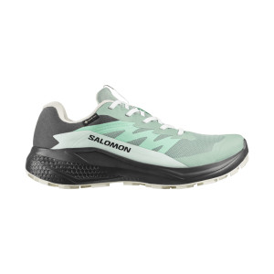 Salomon Alphaglide GTX Women
