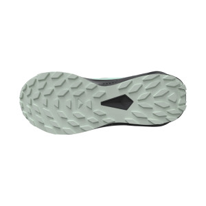 Salomon Alphaglide GTX Women