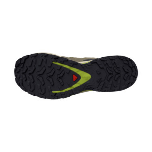 Salomon XA Pro 3D V9 GTX