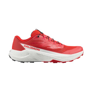 Salomon Pulsar