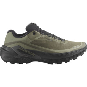 Salomon Genesis 2 GTX