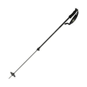 Rossignol Adjustable BC 100 Poles