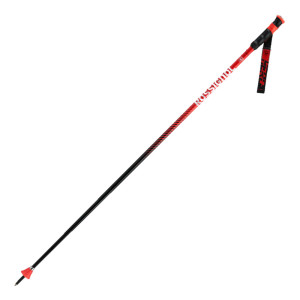 Rossignol Hero GS-SG Poles