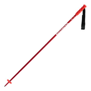 Rossignol Hero SL Poles  Junior