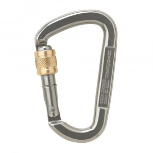 AustriAlpin D Asymm Screw Carabiner
