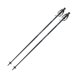 Fischer Lite Poles