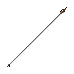 Fischer Active Poles