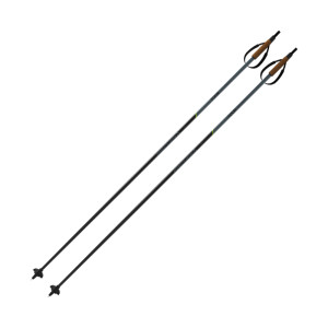 Fischer Tour Poles